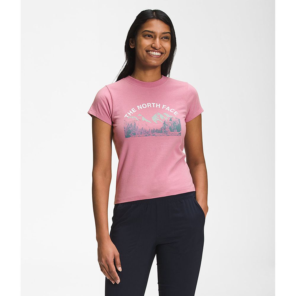 The North Face T-Shirts Womens Australia - The North Face Short Sleeve Outdoors Together Rose Purple